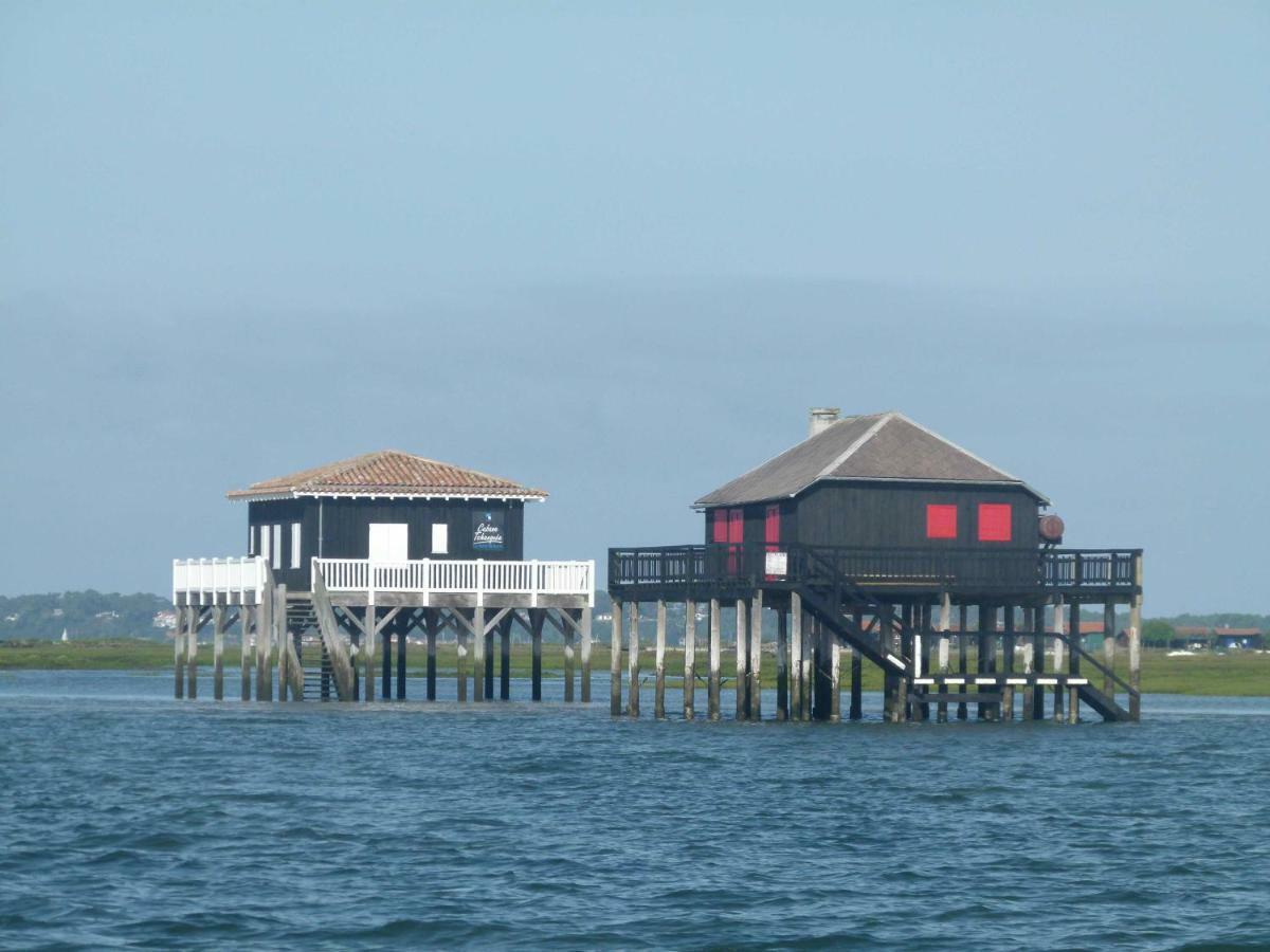 Ferienwohnung Les Pieds Dans L'Eau Arcachon Exterior foto