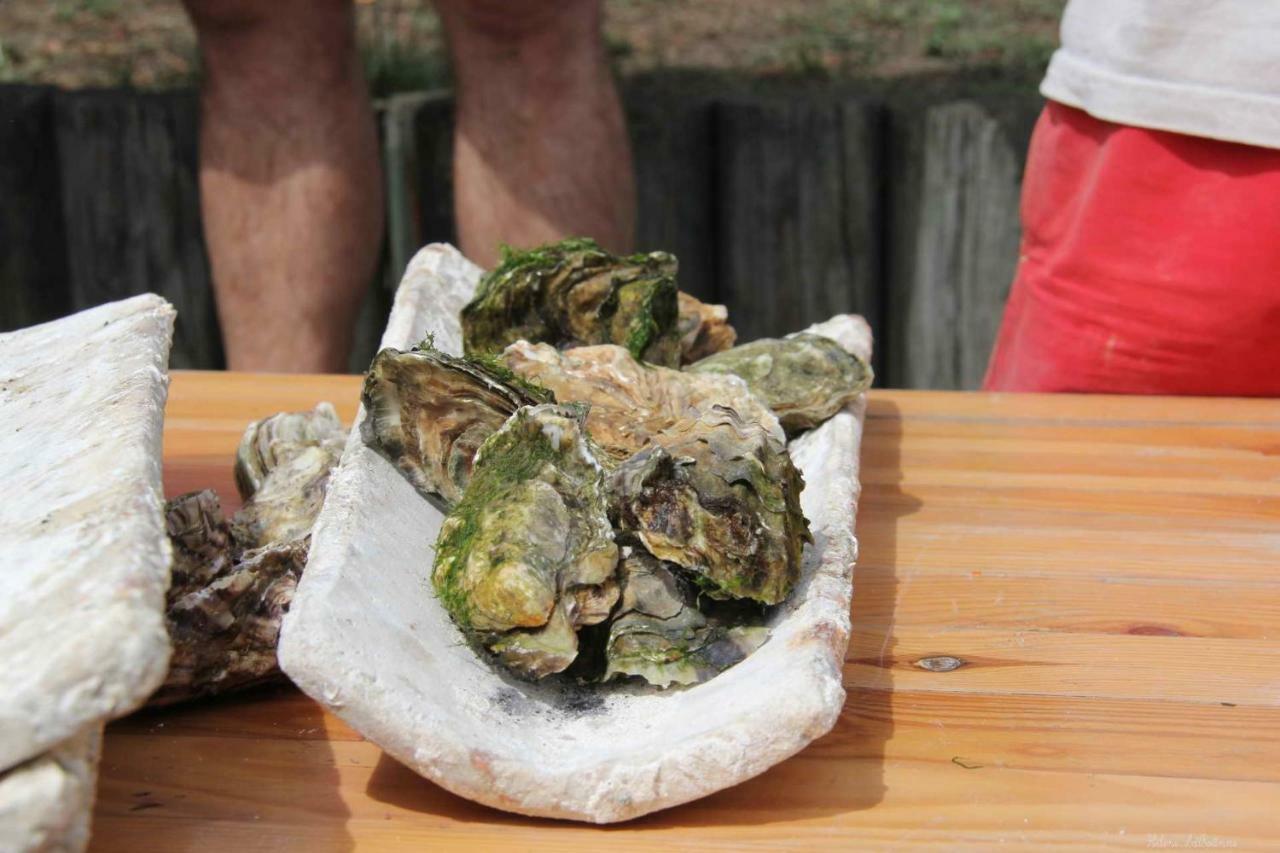 Ferienwohnung Les Pieds Dans L'Eau Arcachon Exterior foto